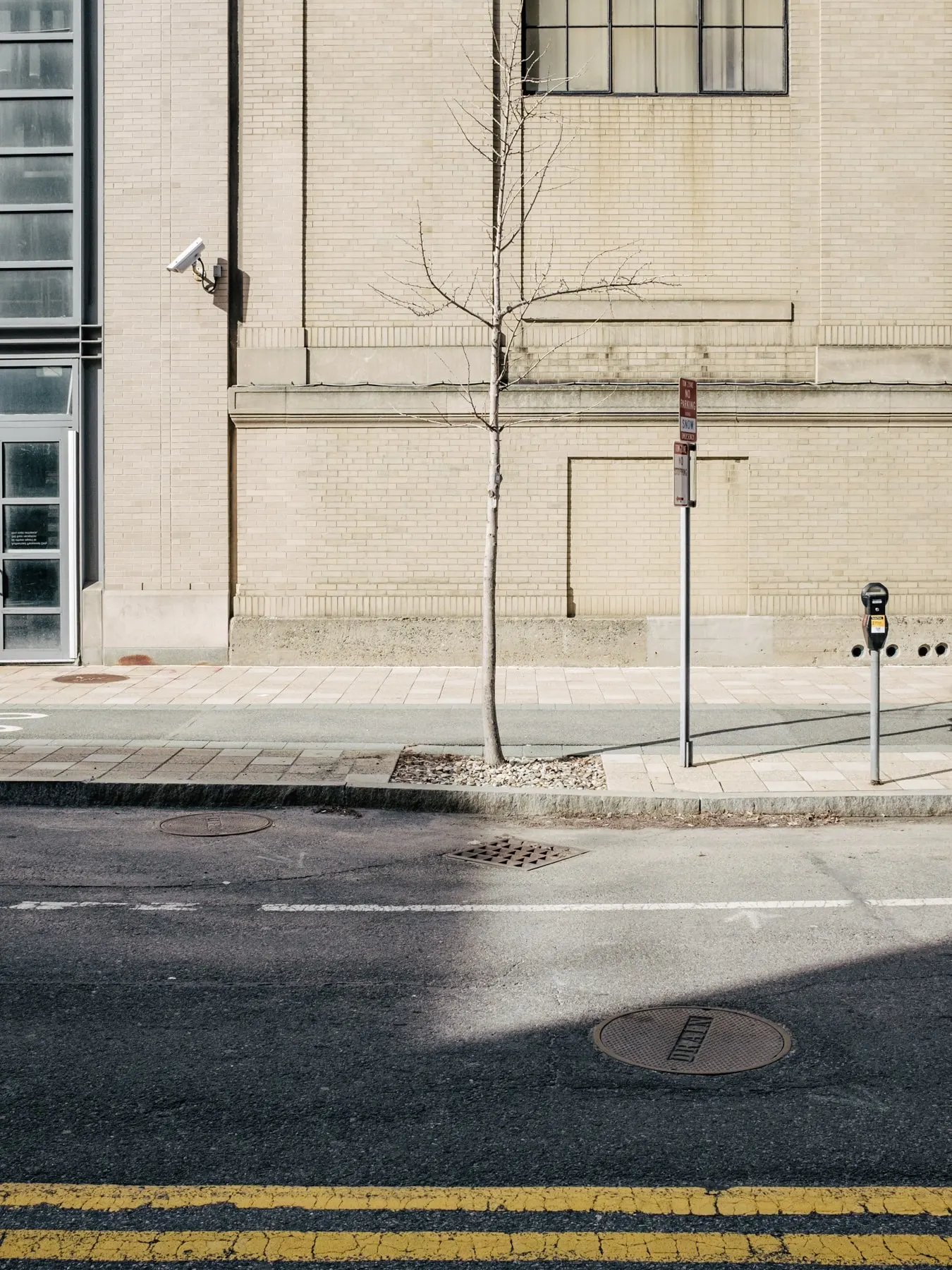 Bare tree and parking meters at an empty street corner